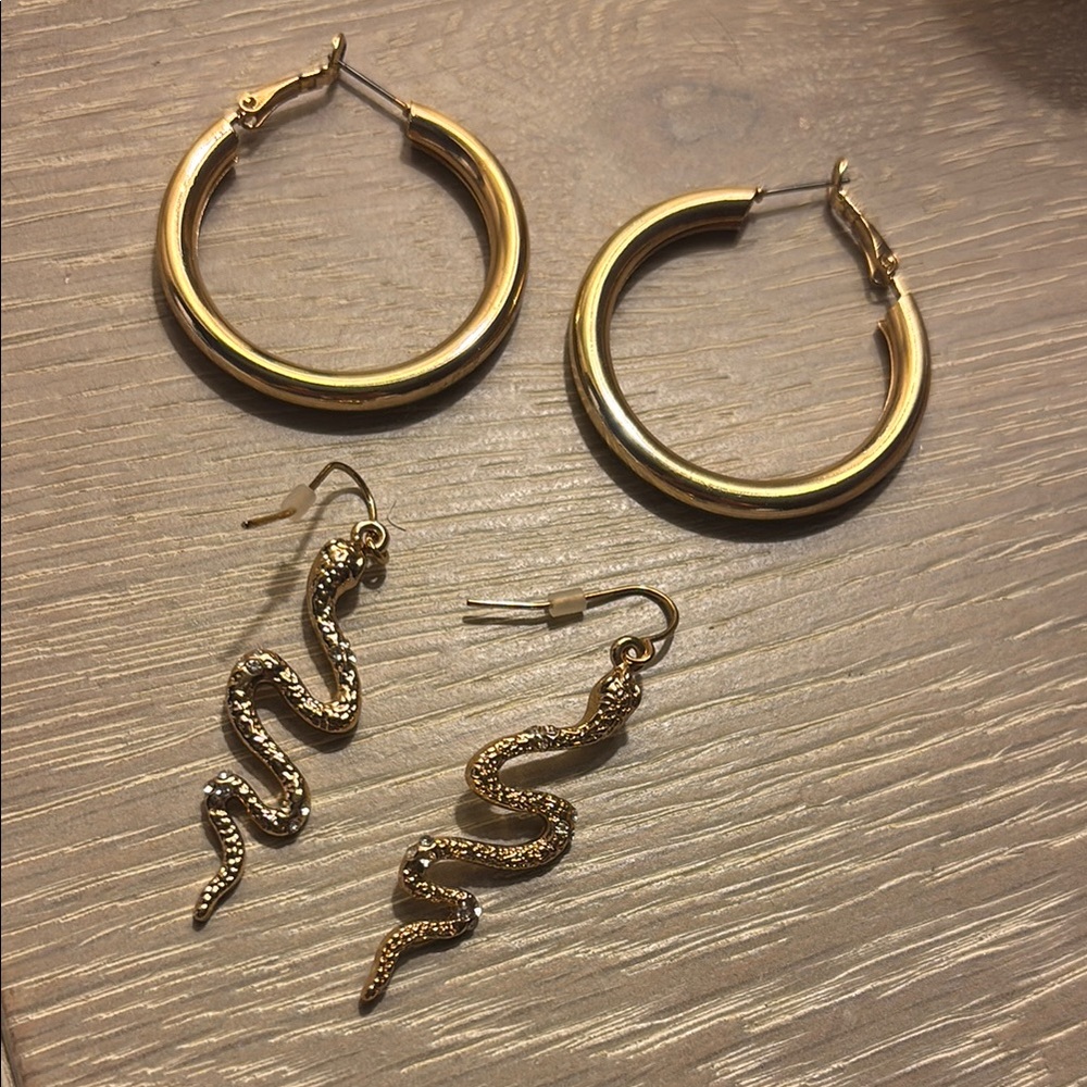 Gold Hoop and Snake Earrings Set